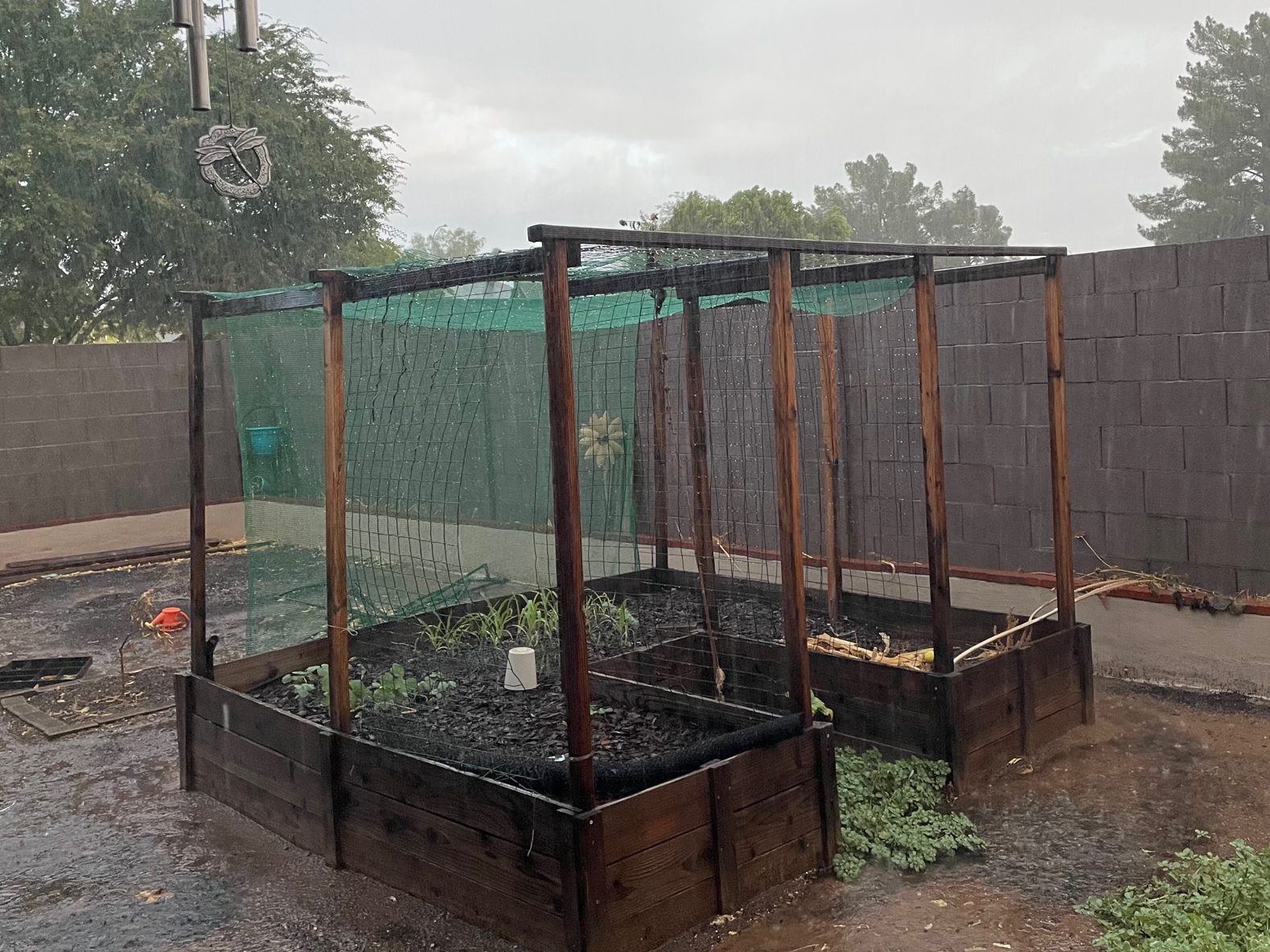 Raised garden bed with green shade cloth partially around it. Photo is blurred by Arizona Monsoon rain. 